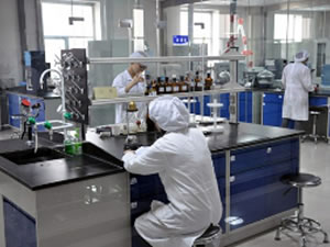 Capacidad de investigación y desarrollo 